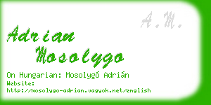 adrian mosolygo business card