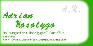 adrian mosolygo business card